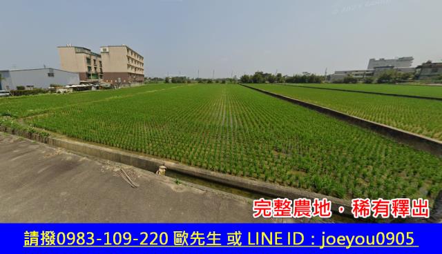桃園新屋法拍農地-2
