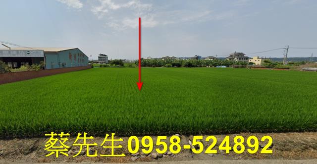 芬園農地拍賣-0