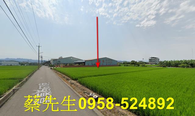 芬園農地拍賣-6