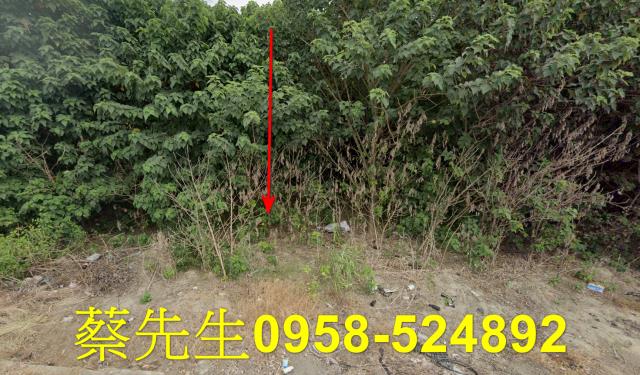 芳苑農地法拍-0