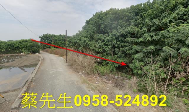 芳苑農地法拍-3