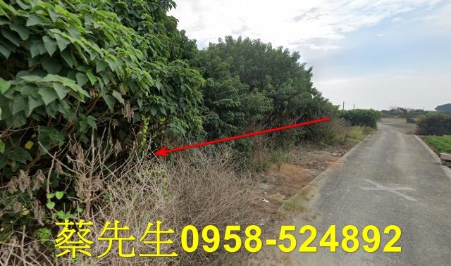 芳苑農地法拍-5
