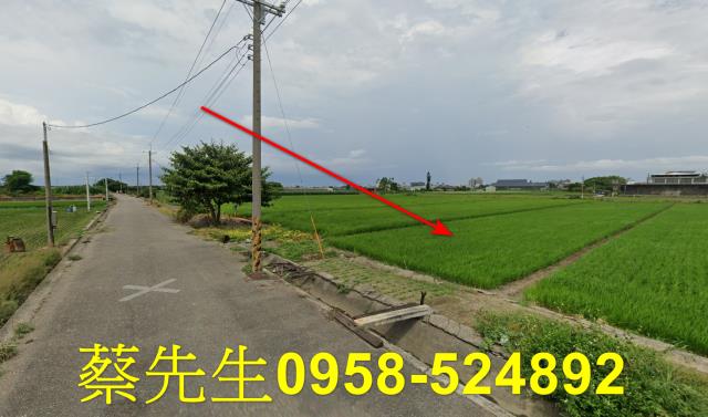 雲林法拍農地-11
