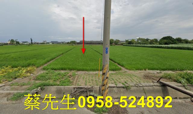 雲林法拍農地-0