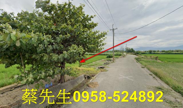 雲林法拍農地-6