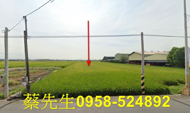 雲林法拍農地-8