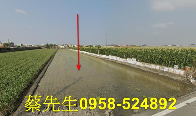 雲林虎尾法拍農地-13