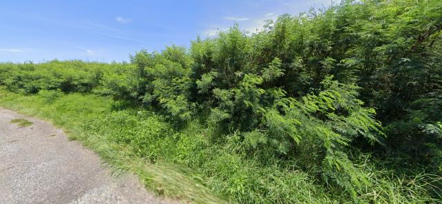 馬公拍賣農地-0