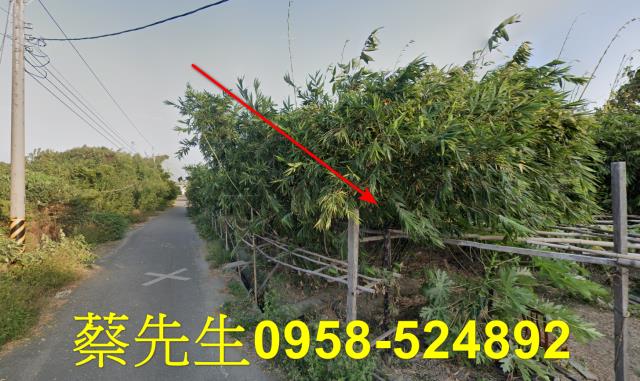 土庫農地法拍-3