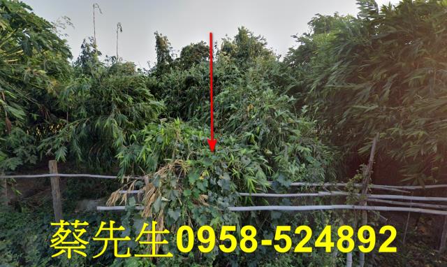 土庫農地法拍-4