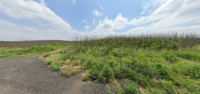 馬公法拍農地-7