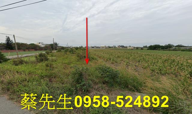 雲林法拍農地-11