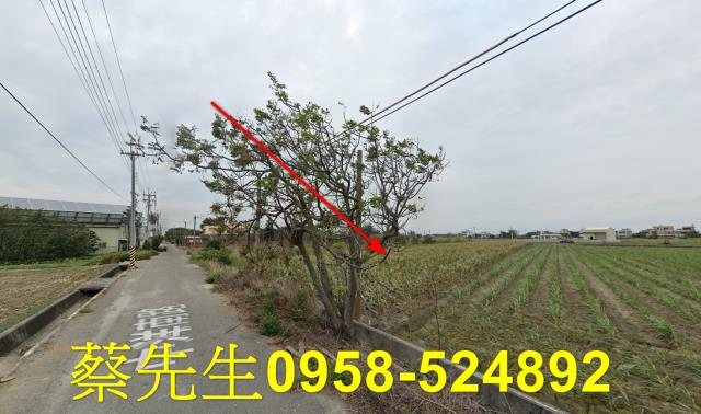 雲林法拍農地-4