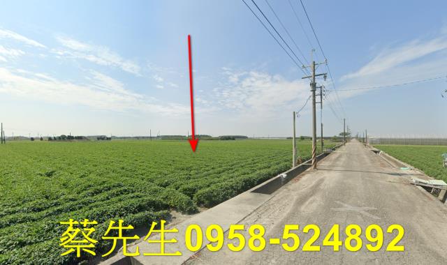 雲林農地法拍-13