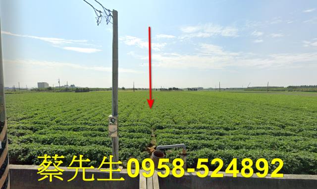 雲林農地法拍-0