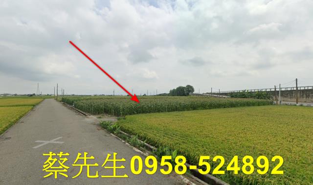 雲林農地拍賣-12
