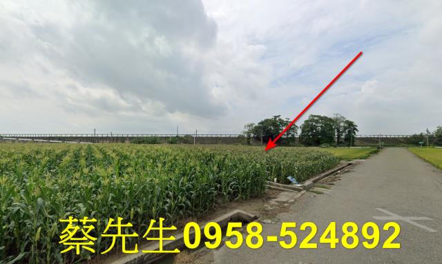 雲林農地拍賣-14