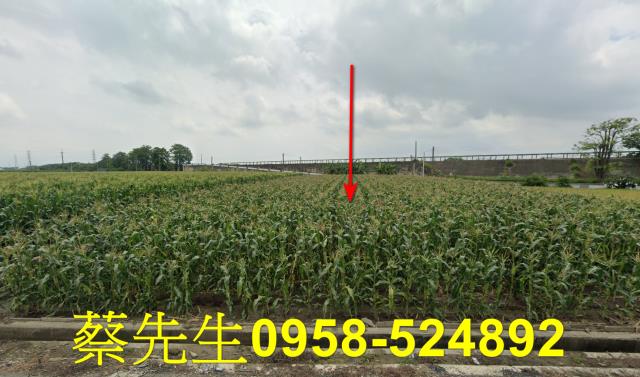 雲林農地拍賣-0