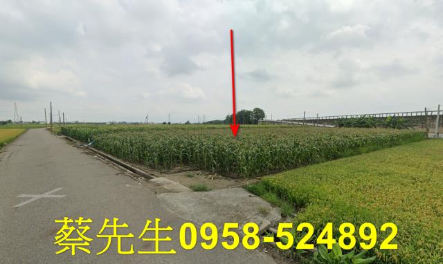 雲林農地拍賣-3