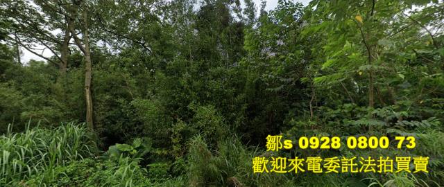 桃園龍潭法拍農地-0