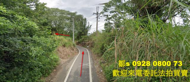 桃園龍潭法拍農地-2