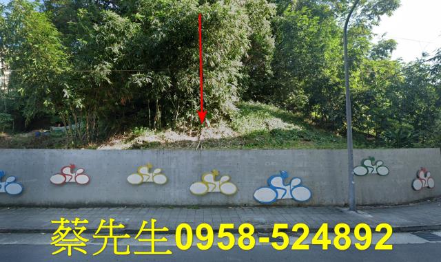 台北南港法拍住宅地-0