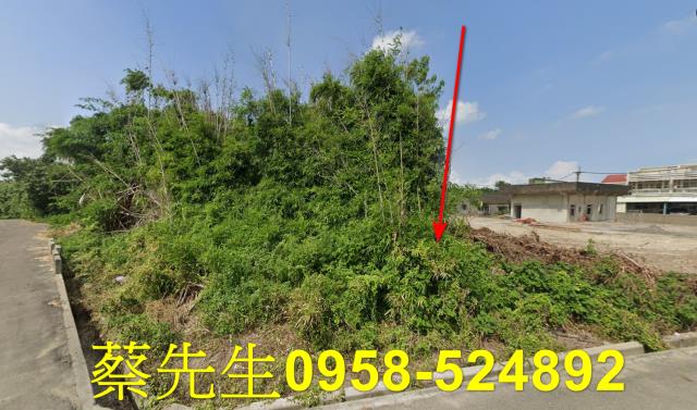 台西法拍建地-14