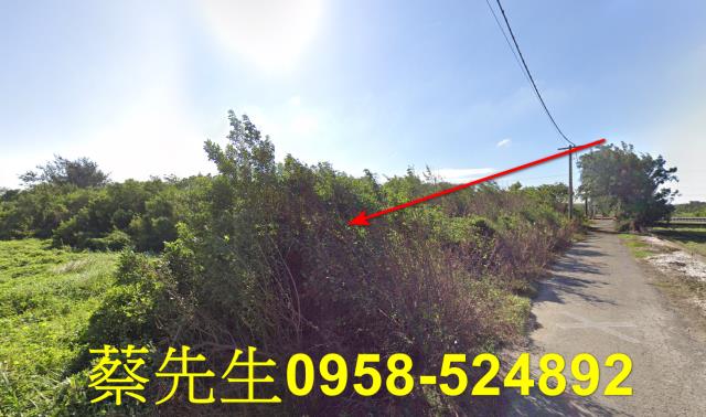四湖農地法拍-11
