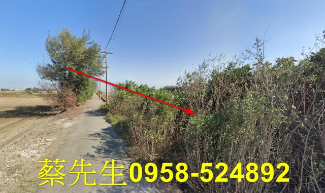 四湖農地法拍-13
