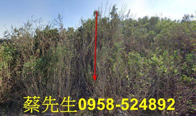 四湖農地法拍-0