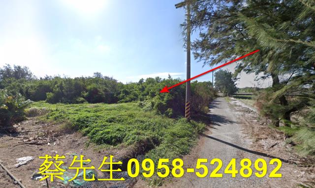 四湖農地法拍-4