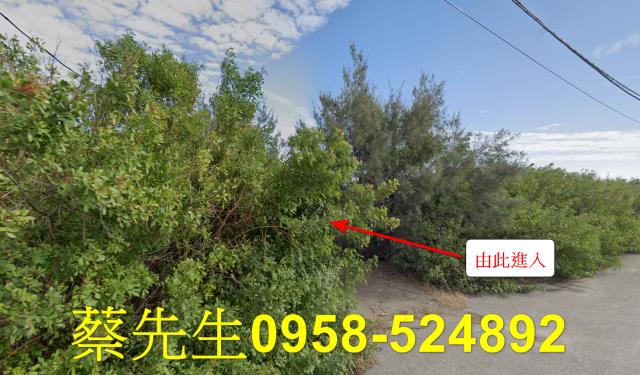 四湖法拍農地-0