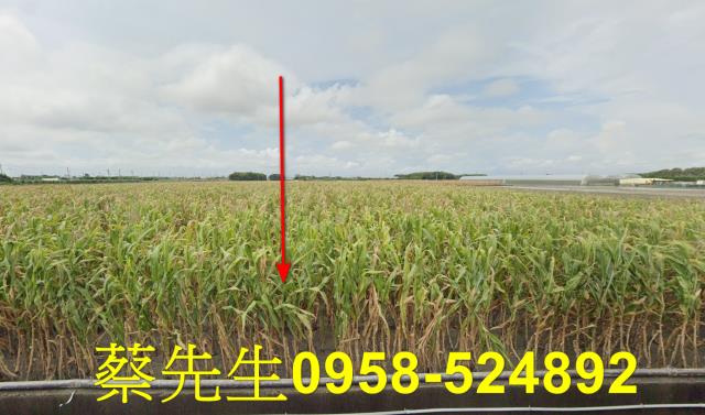 東勢鄉法拍農地-0