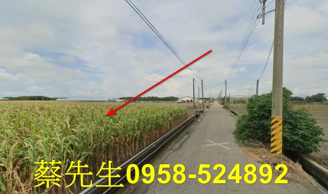東勢鄉法拍農地-3