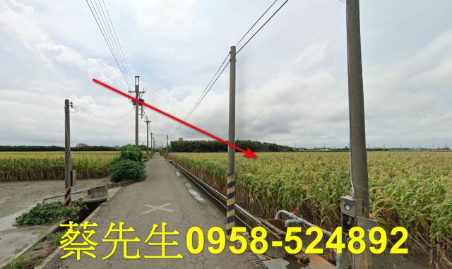 東勢鄉法拍農地-5