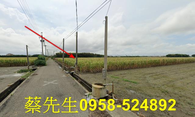 東勢鄉法拍農地-6