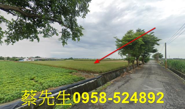 東勢鄉法拍農地-12