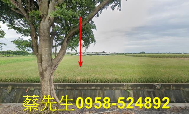 東勢鄉法拍農地-0