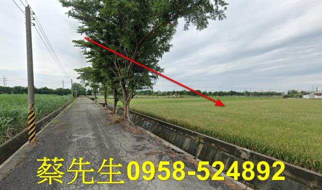 東勢鄉法拍農地-5