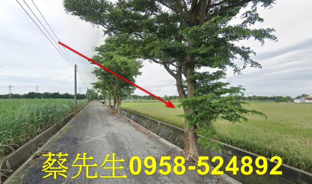 東勢鄉法拍農地-6