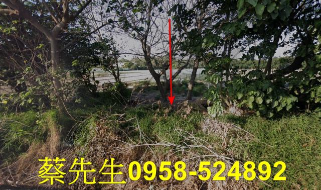 崙背拍賣農地-0