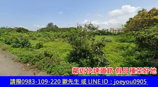 通霄農地法拍-2