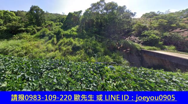 通霄法拍農地-11
