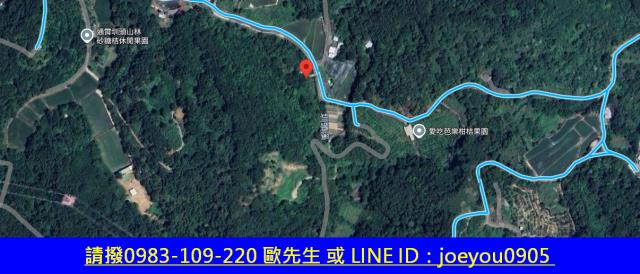 通霄法拍農地-14