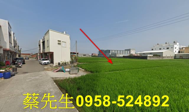 大安區法拍農地-11