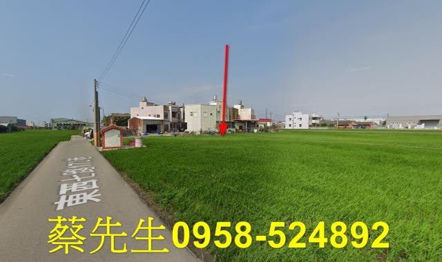 大安區法拍農地-13
