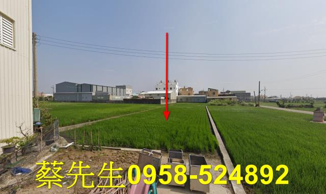 大安區法拍農地-0