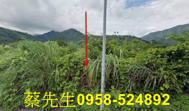泰安農地法拍-0