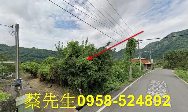 泰安農地法拍-5
