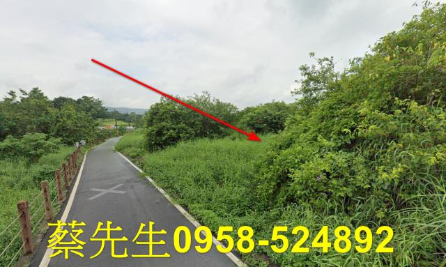 銅鑼法拍農地-11